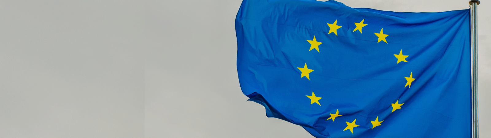 EU budget : will EU Member States make or break it?  